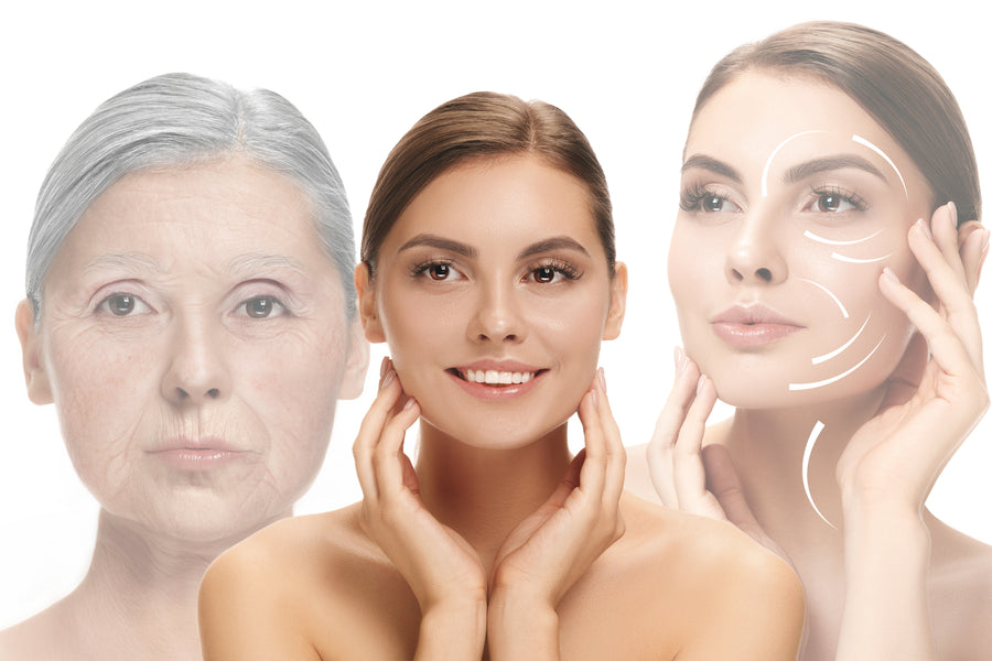 External Effects on Aging Skin