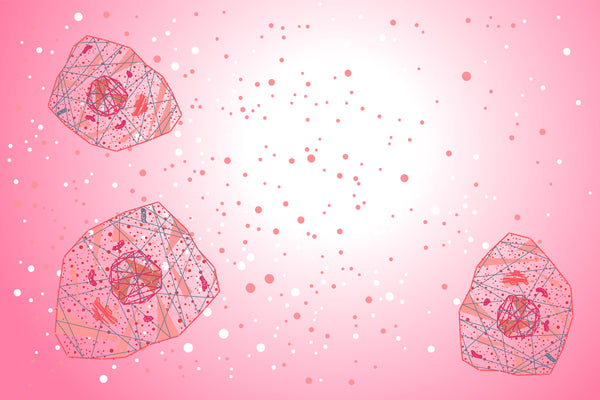 Accelerated Cellular Aging